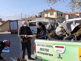 Büyükşehir’den çiftçiye böğürtlen fidanı desteği
