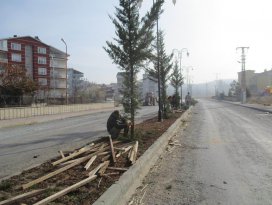 Beyşehir’de yeşillendirme çalışmaları