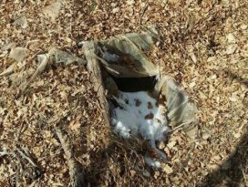 PKK sığınağında Kürtçe İncil çıktı