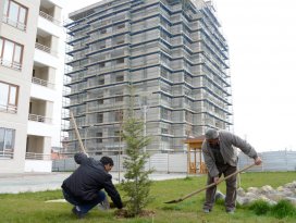 Meram örnek projeyle yeşilleniyor
