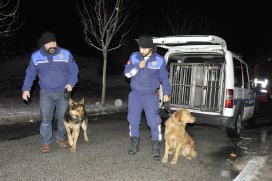 Konyada uyuşturucu operasyonu