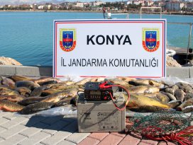 Elektroşok cihazıyla balık avına ceza