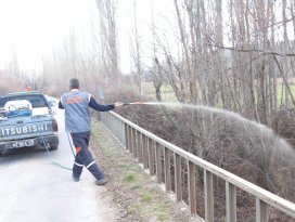 Beyşehir’de larva mücadelesi hız kazandı