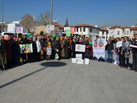 AK Kadınlardan Yeşilay yürüyüşü