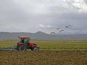 Konya Ovasında etkili olan yağmur çiftçiyi sevindirdi