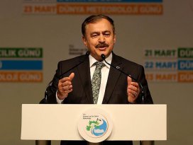 Dünyadaki herkes için Türkiyede bir fidan dikeceğiz
