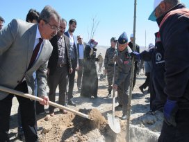 Karatay’da şehit için hatıra ormanı