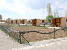 Beyşehir’de hobi bahçelerinde sezon başlıyor