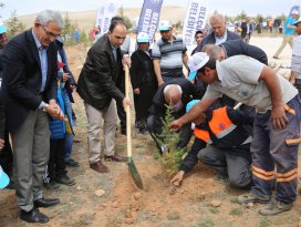 Selçuklu’da 10 bin fidan toprakla buluştu