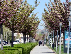 Büyükşehir’den “Çiçek Gibi Konya” fotoğraf yarışması