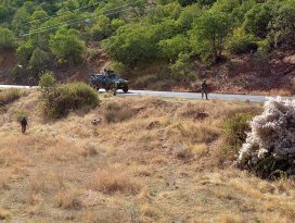 PKKnın sözde bölge sorumlusu etkisiz hale getirildi
