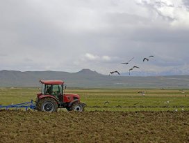 Genç çiftçilere hibe için başvurularda yarın son gün