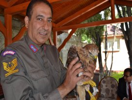 Çobanın bulduğu yavru doğanlar koruma altına alındı