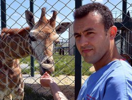 Zürafa Selvi Gaziantepe gelin gidecek