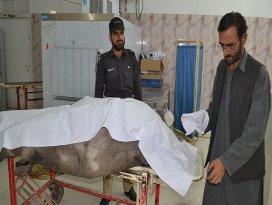 Taliban lideri Molla Mansurun öldürüldüğü iddiası