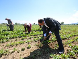 Başkan Özaltun, tarım işçilerini ziyaret etti