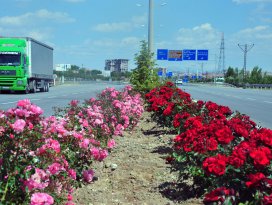 Karamanda şehir girişleri çiçek gibi