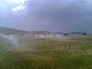 Altınekinde sulamaya rüzgar engeli