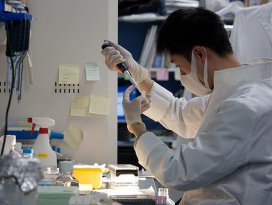 Bilim adamları CO2yi taşa dönüştürmeyi başardı