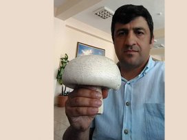 Konya’da bulunan dev kültür mantarı görenleri şaşırttı