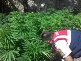 Beyşehirde uyuşturucu operasyonu