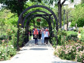Kültürpark Gülbahçe’de güllerin ahengi