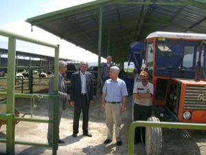 Hollandalı uzmandan Altınekinli çiftçiye tavsiyeler