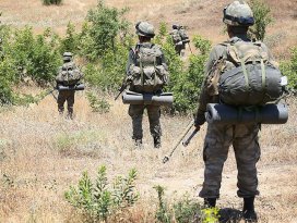 Siirt Pervaride terör örgütüne operasyon