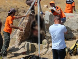 Kayıp Afgan çobanın cesedi su kuyusunda bulundu