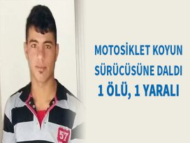 Motosiklet koyun sürücüsüne daldı: 1 ölü, 1 yaralı