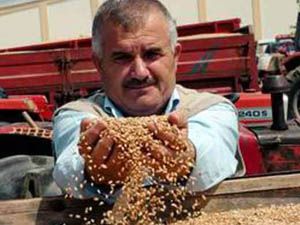 Çiftçi sigortaya sıcak bakmıyor