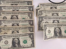 Midyat’ta 3 öğretmenin evinden 1 dolar çıktı