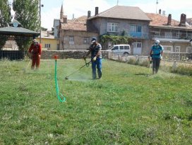 Beyşehir’in yeşil alanları yabani otlardan arındırılıyor