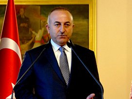 Çavuşoğlu: Almanya bizim beklentimizi karşıladı