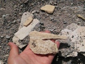 Mamut fosillerinin çıktığı bölgenin sit alanı olması talebi