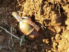 Kızıltepe’de eylem hazırlığındaki 2 terörist öldürüldü