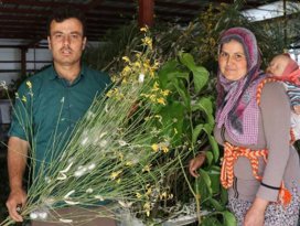 40 günde 15 bin TL kazanıyor