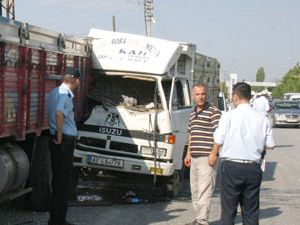 Hayvan yüklü kamyonet kamyona çarptı