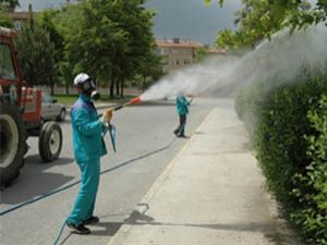 Selçukluda haşereyle mücadele sürüyor