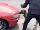 Şüphe üzerine durduruldu, uyuşturucu hap bulundu