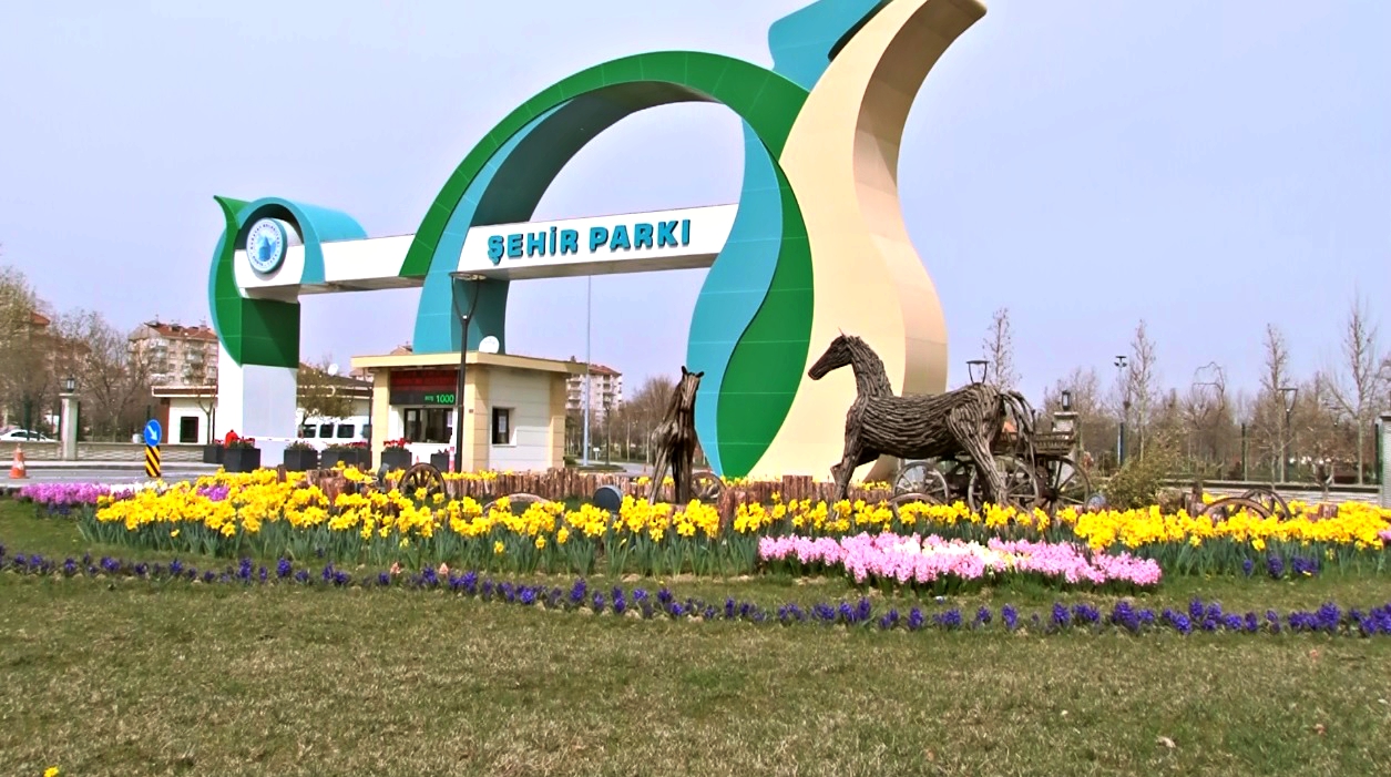 55-001.jpg