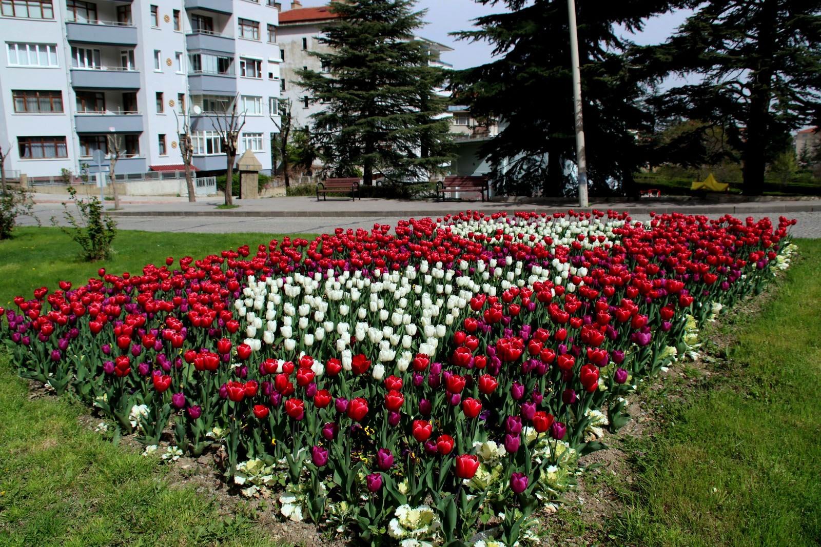 aw347569_03.jpg