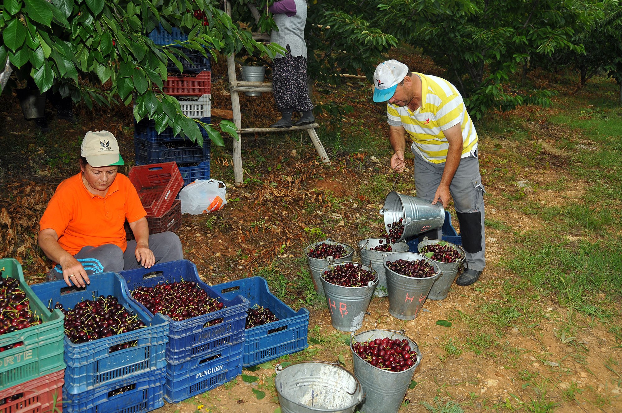 aw423922_11.jpg