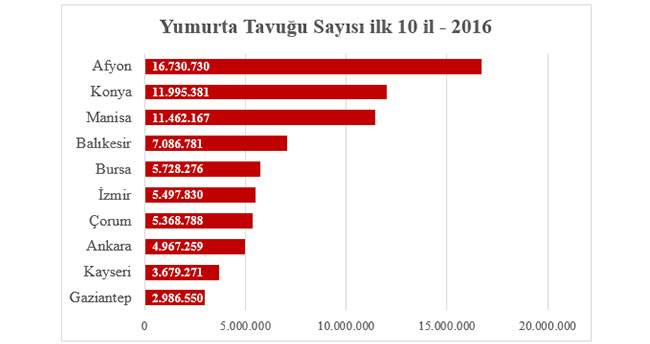 konya-yumurta-tavugu-sayisinda-ikinci-oldu.jpg